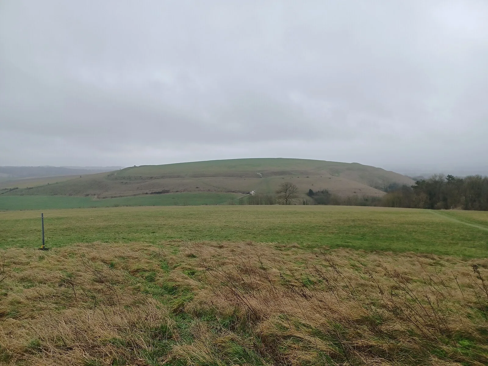 Scratchbury Camp
